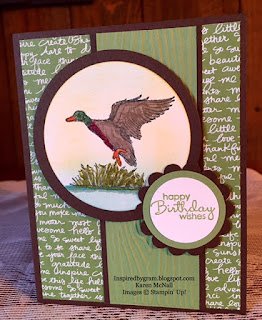 The Wilderness Awaits